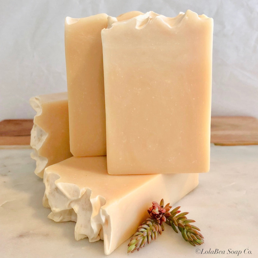 Dogwood and Ginger Beer Soap. Artisan handmade soap. Four solid cream bars.
